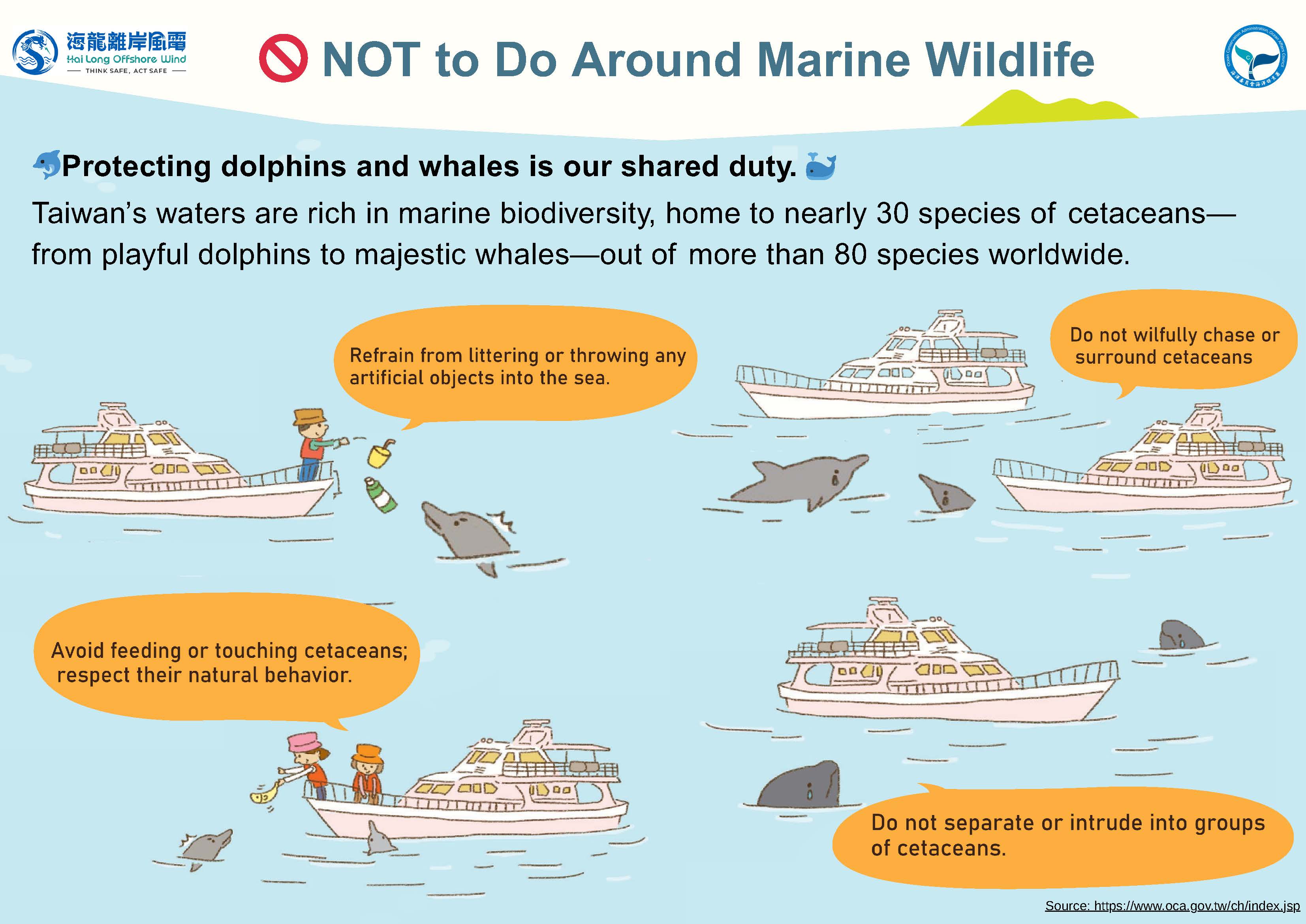 Not to do around marine wildlife